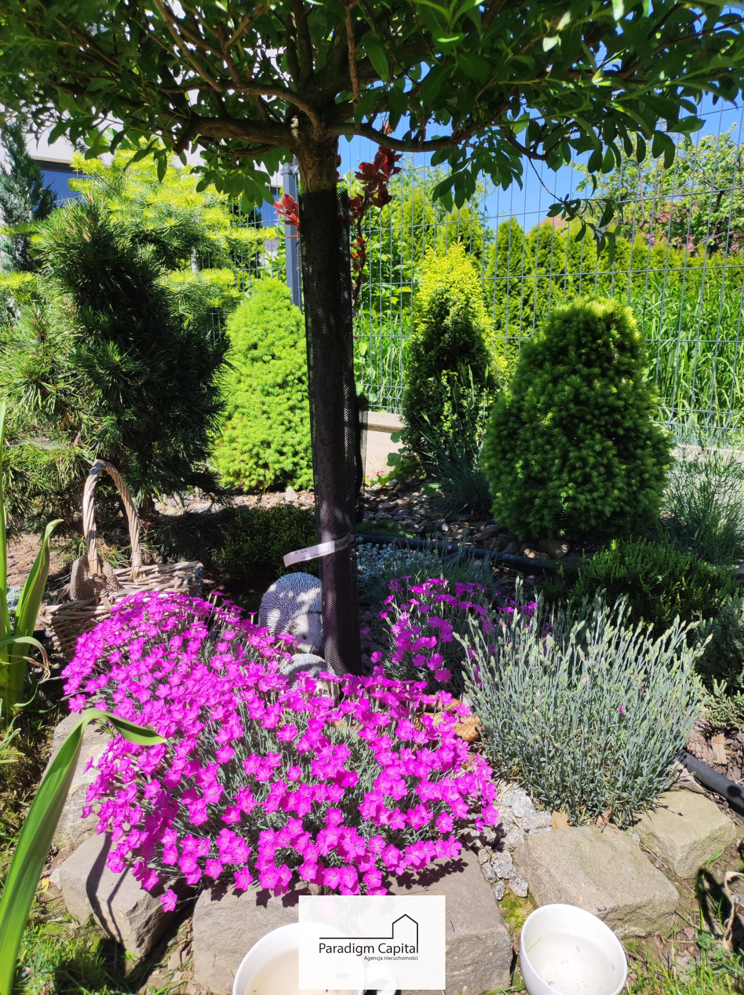 mieszkania - 97,23 m² - Bielsko-Biała